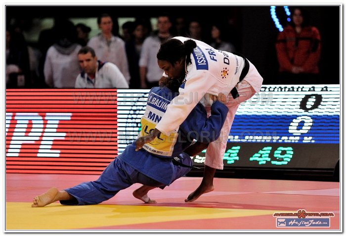 Grand Slam Paris 2013 Judo